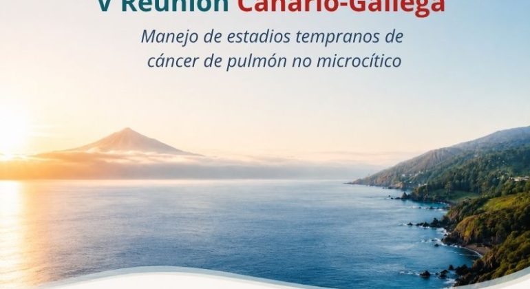 V Reunion Canario Gallega