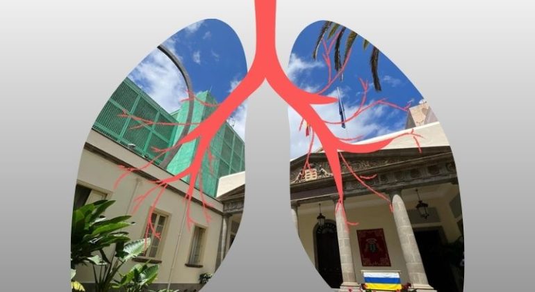 jornada parlamento canarias miniatura fondo gris